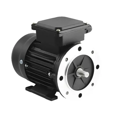 Havells(F4204) 2 HP Single Phase 4 Pole Flange Mounted AC Motor, 1500 RPM, 1 Year Warranty